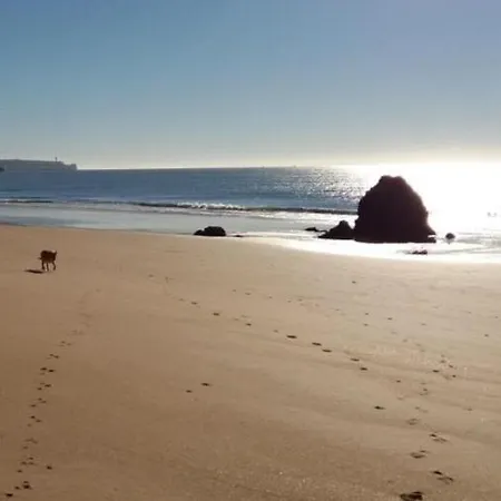 Appartement Da Rocha Alex&mila Vista Mar *