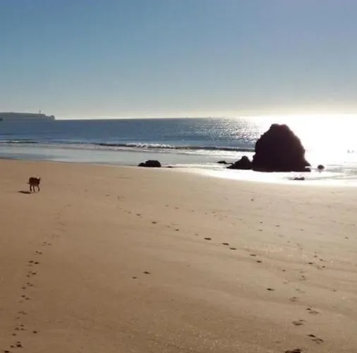 Appartement Da Rocha Alex&mila Vista Mar *