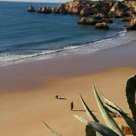 Da Rocha Alex&mila Vista Mar *